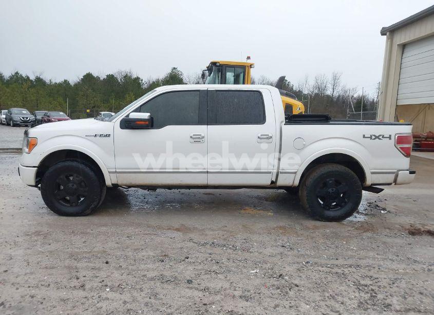 Photo 14 of 2010 Ford F-150 (VIN 1FTFW1EV9AFB49797)