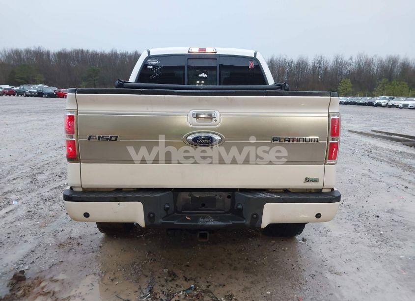 Photo 16 of 2010 Ford F-150 (VIN 1FTFW1EV9AFB49797)