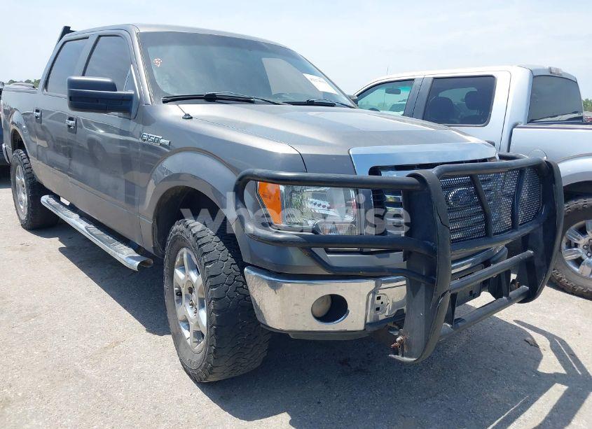 2010 Ford F-150 FX4/HARLEY-DAVIDSON/LARIAT/XL/XLT (VIN 1FTFW1EV9AFB61044) main photo