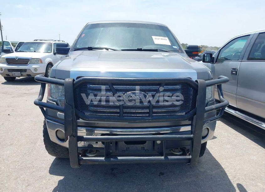 Photo 12 of 2010 Ford F-150 FX4/HARLEY-DAVIDSON/LARIAT/XL/XLT (VIN 1FTFW1EV9AFB61044)