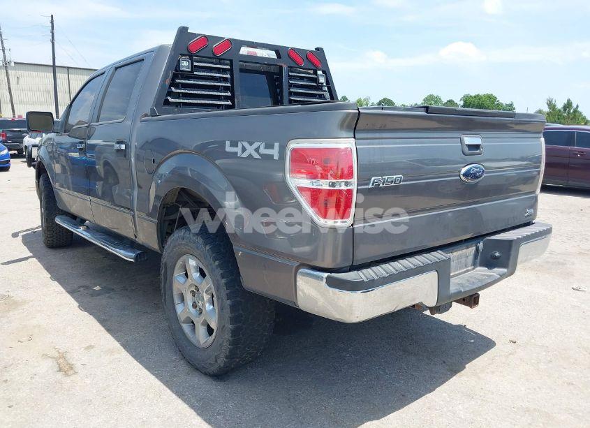 Photo 3 of 2010 Ford F-150 FX4/HARLEY-DAVIDSON/LARIAT/XL/XLT (VIN 1FTFW1EV9AFB61044)