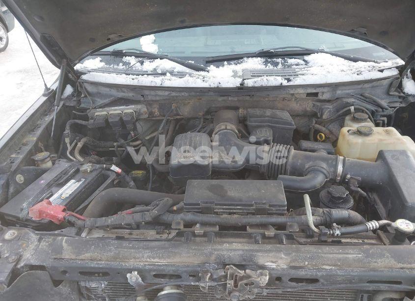 Photo 10 of 2010 Ford F-150 (VIN 1FTFW1EV9AFB66096)