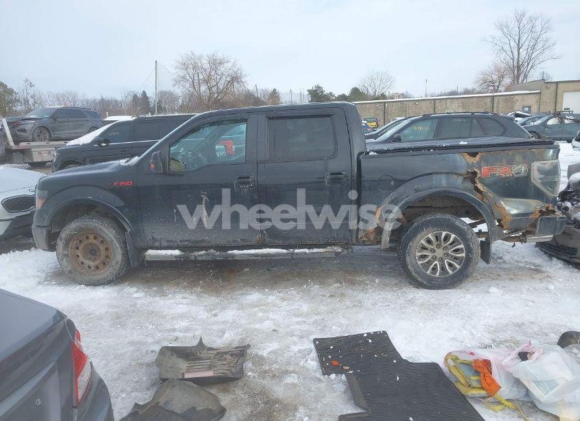 Photo 15 of 2010 Ford F-150 (VIN 1FTFW1EV9AFB66096)