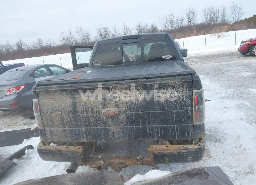 Photo 17 of 2010 Ford F-150 (VIN 1FTFW1EV9AFB66096)