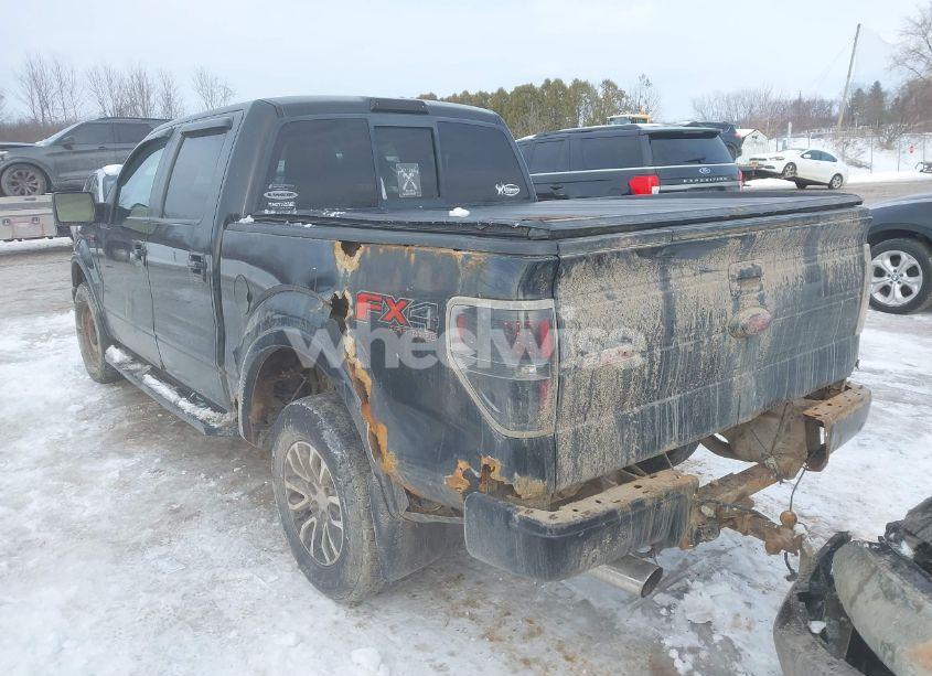 Photo 3 of 2010 Ford F-150 (VIN 1FTFW1EV9AFB66096)