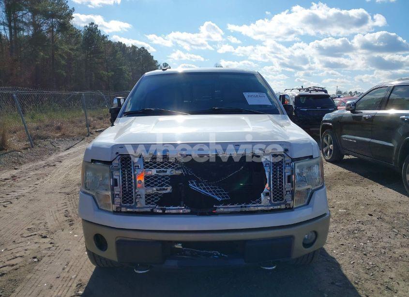 Photo 13 of 2010 Ford F-150 FX4/HARLEY-DAVIDSON/KING RANCH/LARIAT/PLATINUM/XL/XLT (VIN 1FTFW1EV9AFB91936)