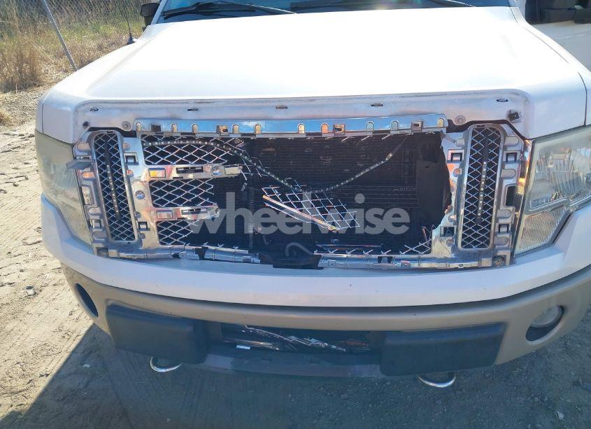 Photo 6 of 2010 Ford F-150 FX4/HARLEY-DAVIDSON/KING RANCH/LARIAT/PLATINUM/XL/XLT (VIN 1FTFW1EV9AFB91936)