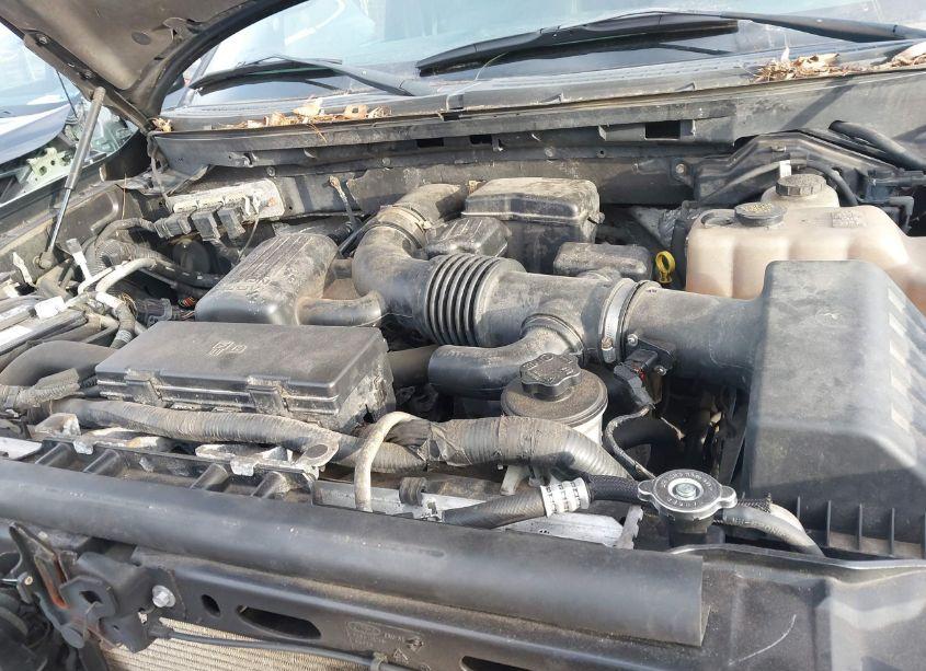 Photo 10 of 2010 Ford F-150 FX4/HARLEY-DAVIDSON/KING RANCH/LARIAT/PLATINUM/XL/XLT (VIN 1FTFW1EV9AFB92214)