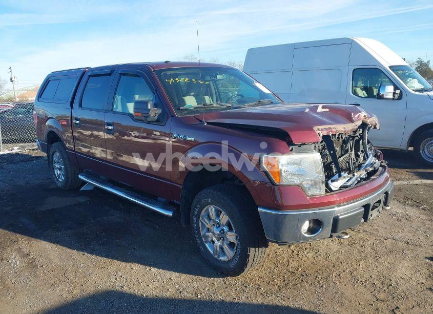 2010 Ford F-150 FX4/HARLEY-DAVIDSON/KING RANCH/LARIAT/PLATINUM/XL/XLT (VIN 1FTFW1EV9AFC15314) main photo