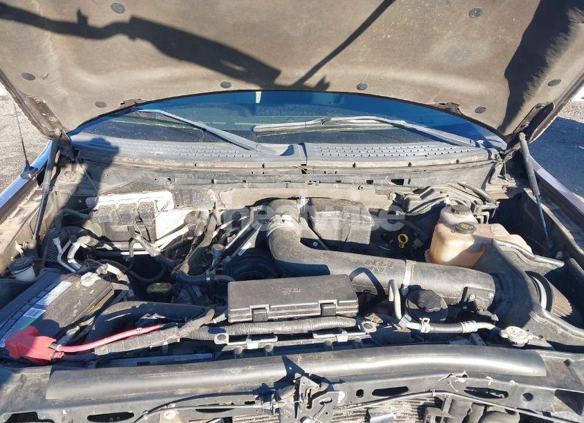 Photo 10 of 2010 Ford F-150 FX4/HARLEY-DAVIDSON/KING RANCH/LARIAT/PLATINUM/XL/XLT (VIN 1FTFW1EV9AFC15314)