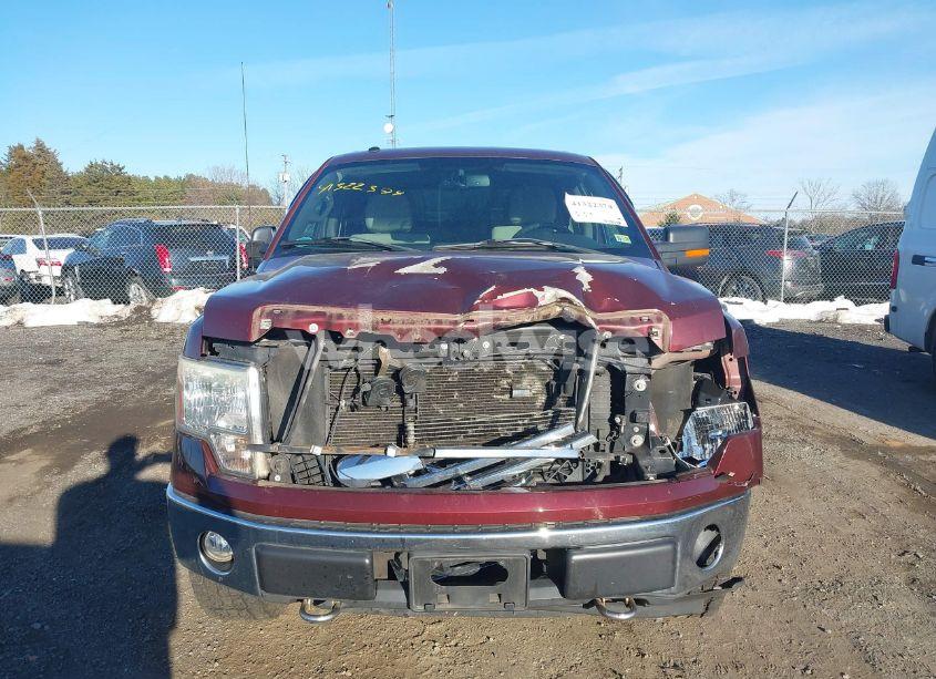 Photo 12 of 2010 Ford F-150 FX4/HARLEY-DAVIDSON/KING RANCH/LARIAT/PLATINUM/XL/XLT (VIN 1FTFW1EV9AFC15314)