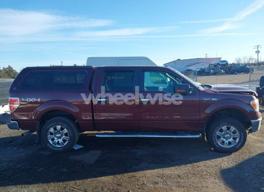 Photo 13 of 2010 Ford F-150 FX4/HARLEY-DAVIDSON/KING RANCH/LARIAT/PLATINUM/XL/XLT (VIN 1FTFW1EV9AFC15314)