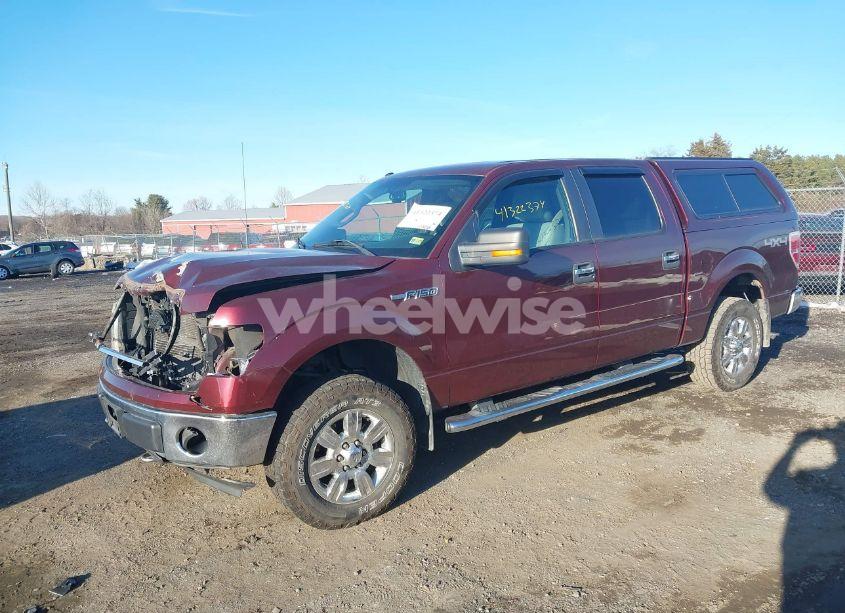 Photo 2 of 2010 Ford F-150 FX4/HARLEY-DAVIDSON/KING RANCH/LARIAT/PLATINUM/XL/XLT (VIN 1FTFW1EV9AFC15314)