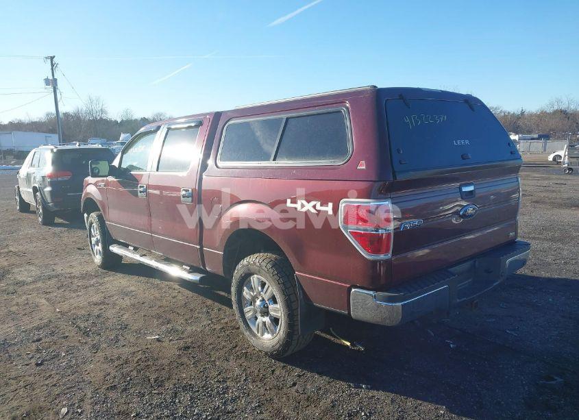 Photo 3 of 2010 Ford F-150 FX4/HARLEY-DAVIDSON/KING RANCH/LARIAT/PLATINUM/XL/XLT (VIN 1FTFW1EV9AFC15314)