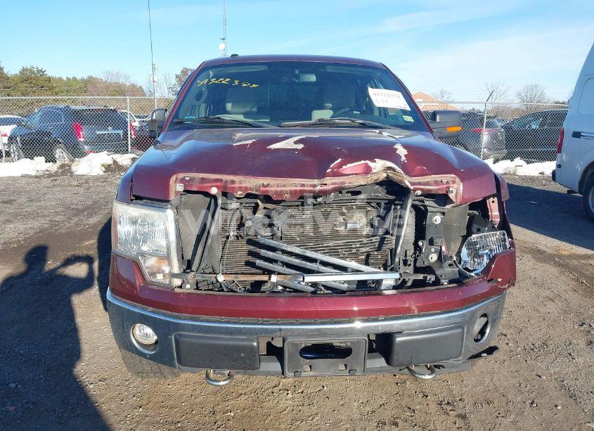 Photo 6 of 2010 Ford F-150 FX4/HARLEY-DAVIDSON/KING RANCH/LARIAT/PLATINUM/XL/XLT (VIN 1FTFW1EV9AFC15314)