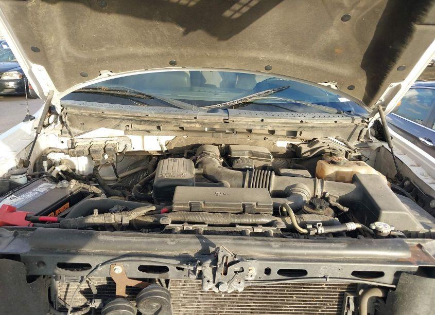 Photo 10 of 2010 Ford F-150 (VIN 1FTFW1EV9AFC35448)