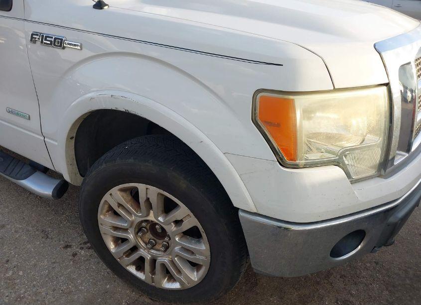 Photo 6 of 2010 Ford F-150 (VIN 1FTFW1EV9AFC35448)