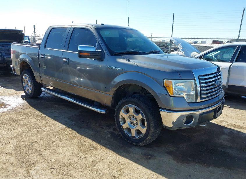2010 Ford F-150 FX4/HARLEY-DAVIDSON/KING RANCH/LARIAT/PLATINUM/XL/XLT (VIN 1FTFW1EV9AFC87257) main photo