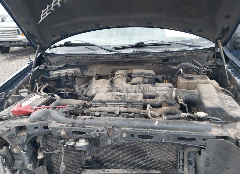 Photo 10 of 2010 Ford F-150 FX4/HARLEY-DAVIDSON/KING RANCH/LARIAT/PLATINUM/XL/XLT (VIN 1FTFW1EV9AFC99151)