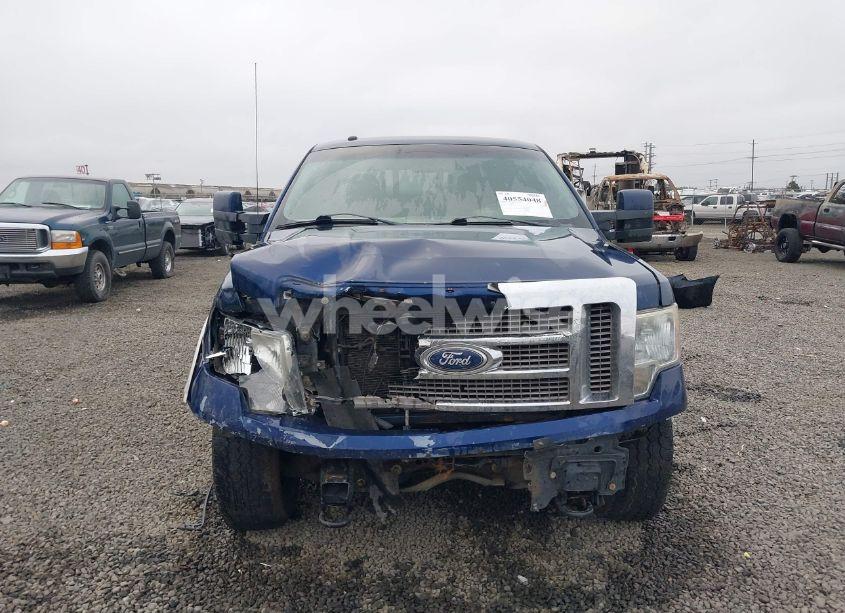 Photo 12 of 2010 Ford F-150 FX4/HARLEY-DAVIDSON/KING RANCH/LARIAT/PLATINUM/XL/XLT (VIN 1FTFW1EV9AFC99151)