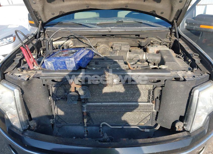 Photo 10 of 2010 Ford F-150 FX4/HARLEY-DAVIDSON/KING RANCH/LARIAT/PLATINUM/XL/XLT (VIN 1FTFW1EV9AFD65472)