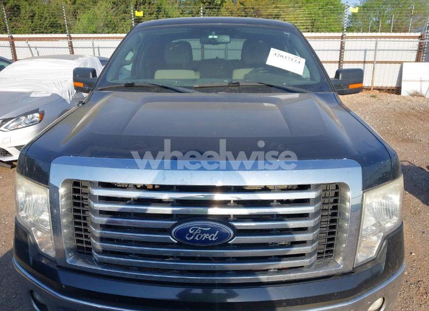 Photo 12 of 2010 Ford F-150 FX4/HARLEY-DAVIDSON/KING RANCH/LARIAT/PLATINUM/XL/XLT (VIN 1FTFW1EV9AFD65472)