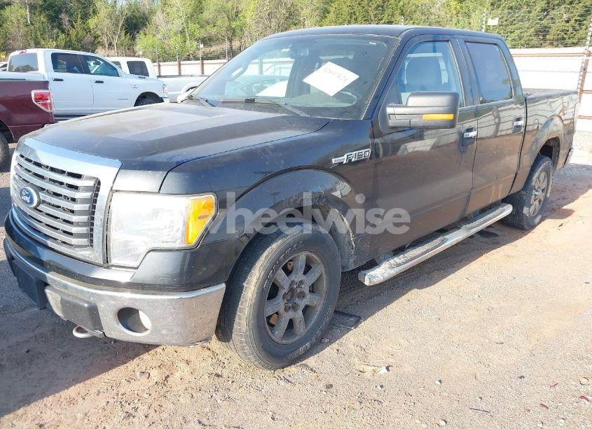 Photo 2 of 2010 Ford F-150 FX4/HARLEY-DAVIDSON/KING RANCH/LARIAT/PLATINUM/XL/XLT (VIN 1FTFW1EV9AFD65472)