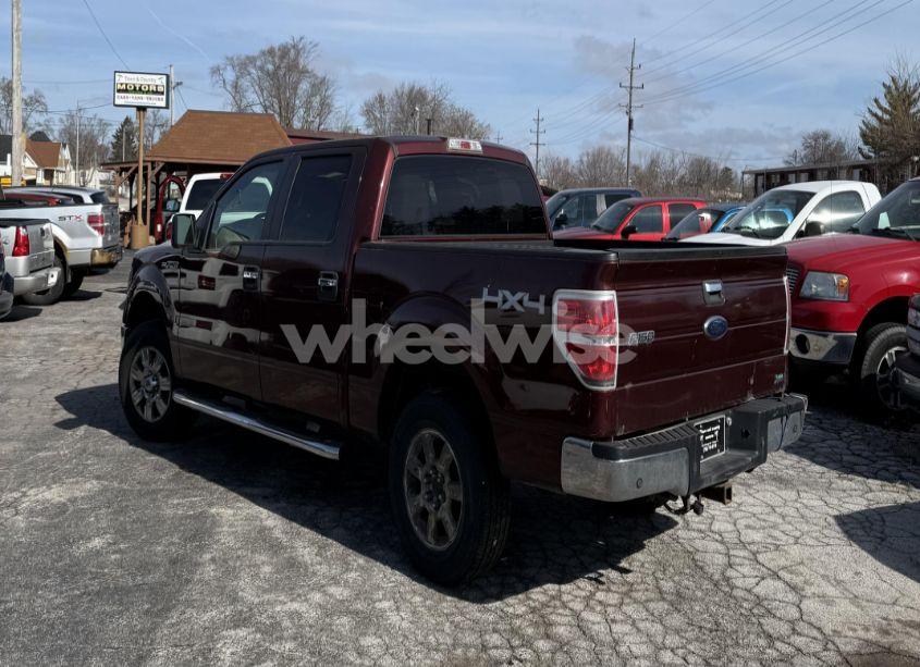 Photo 3 of 2010 Ford F150 N/A (VIN 1FTFW1EV9AFD76004)