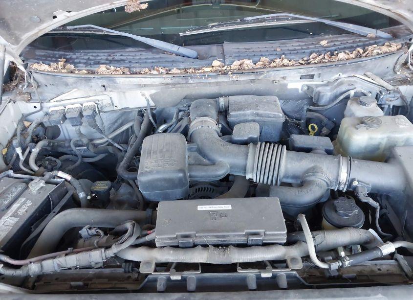 Photo 10 of 2010 Ford F-150 FX4/HARLEY-DAVIDSON/KING RANCH/LARIAT/PLATINUM/XL/XLT (VIN 1FTFW1EV9AKE32482)