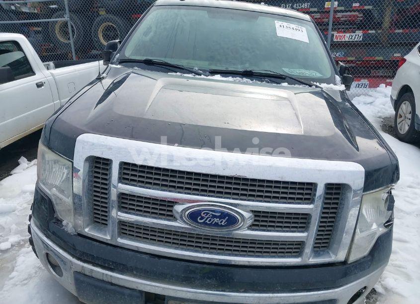 Photo 12 of 2010 Ford F-150 FX4/HARLEY-DAVIDSON/KING RANCH/LARIAT/PLATINUM/XL/XLT (VIN 1FTFW1EVXAFA74365)