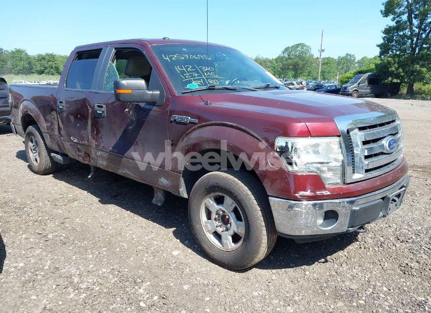 2010 Ford F-150 FX4/HARLEY-DAVIDSON/KING RANCH/LARIAT/PLATINUM/XL/XLT (VIN 1FTFW1EVXAFA82417) main photo
