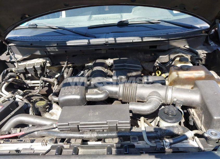 Photo 10 of 2010 Ford F-150 FX4/HARLEY-DAVIDSON/KING RANCH/LARIAT/PLATINUM/XL/XLT (VIN 1FTFW1EVXAFA82417)