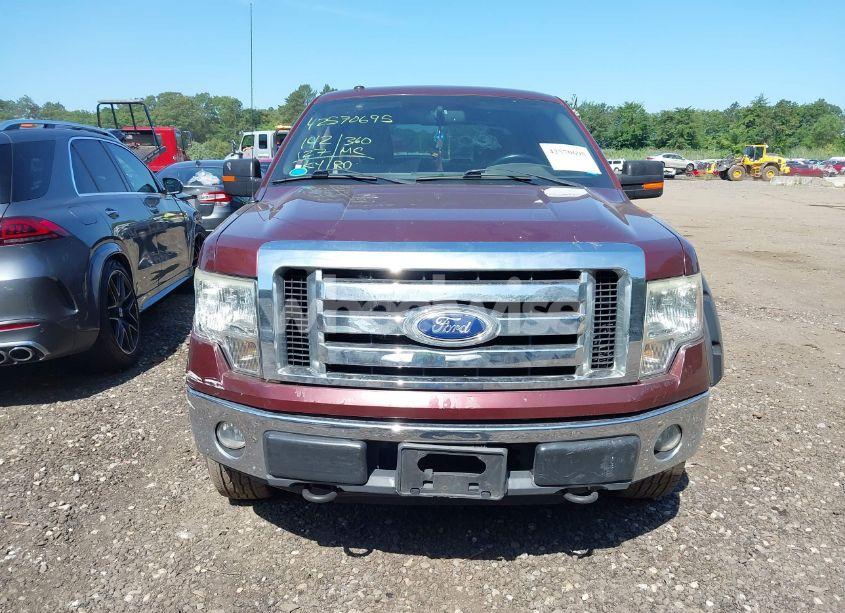 Photo 12 of 2010 Ford F-150 FX4/HARLEY-DAVIDSON/KING RANCH/LARIAT/PLATINUM/XL/XLT (VIN 1FTFW1EVXAFA82417)