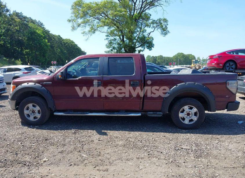 Photo 14 of 2010 Ford F-150 FX4/HARLEY-DAVIDSON/KING RANCH/LARIAT/PLATINUM/XL/XLT (VIN 1FTFW1EVXAFA82417)