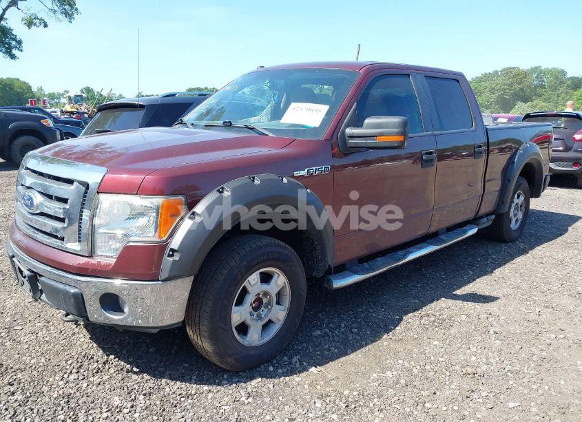 Photo 2 of 2010 Ford F-150 FX4/HARLEY-DAVIDSON/KING RANCH/LARIAT/PLATINUM/XL/XLT (VIN 1FTFW1EVXAFA82417)