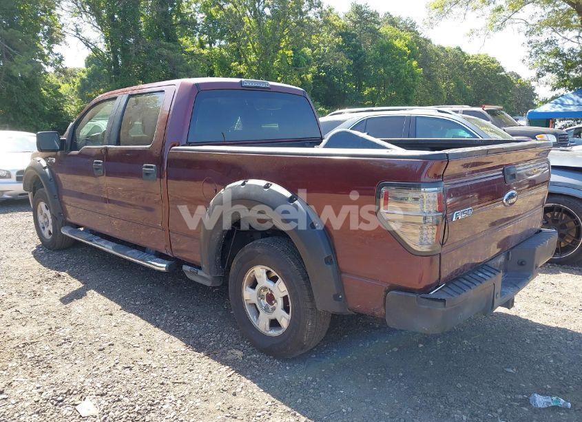 Photo 3 of 2010 Ford F-150 FX4/HARLEY-DAVIDSON/KING RANCH/LARIAT/PLATINUM/XL/XLT (VIN 1FTFW1EVXAFA82417)