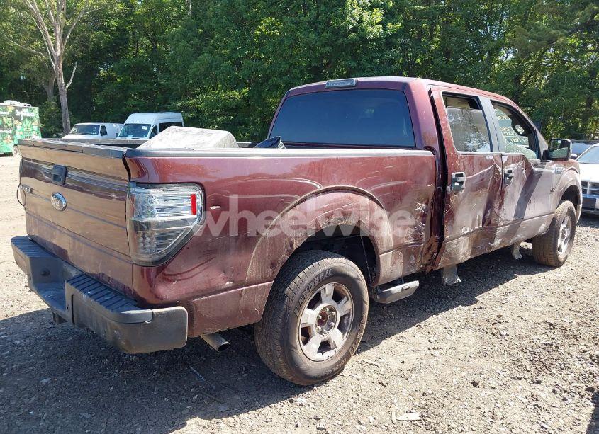 Photo 4 of 2010 Ford F-150 FX4/HARLEY-DAVIDSON/KING RANCH/LARIAT/PLATINUM/XL/XLT (VIN 1FTFW1EVXAFA82417)