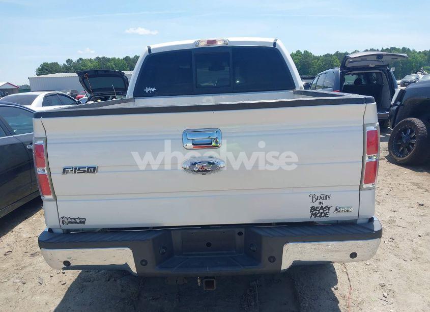 Photo 16 of 2010 Ford F-150 FX4/HARLEY-DAVIDSON/KING RANCH/LARIAT/PLATINUM/XL/XLT (VIN 1FTFW1EVXAFB39280)