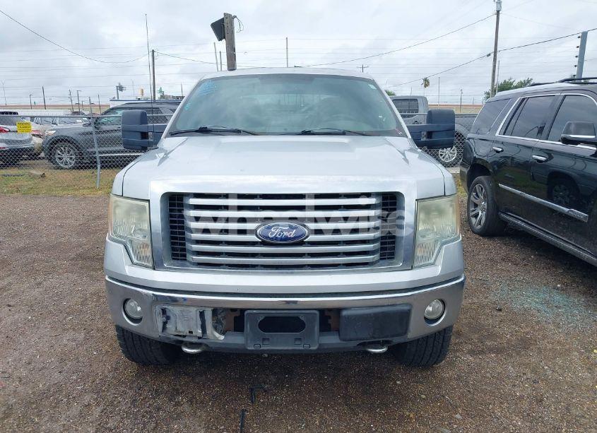 Photo 12 of 2010 Ford F-150 (VIN 1FTFW1EVXAFB54135)