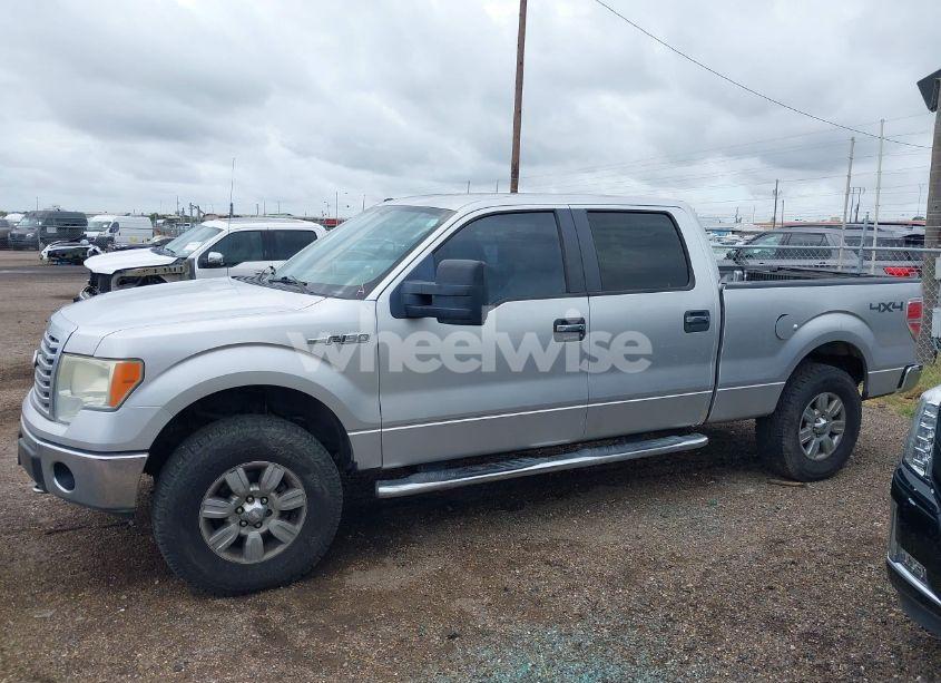 Photo 14 of 2010 Ford F-150 (VIN 1FTFW1EVXAFB54135)
