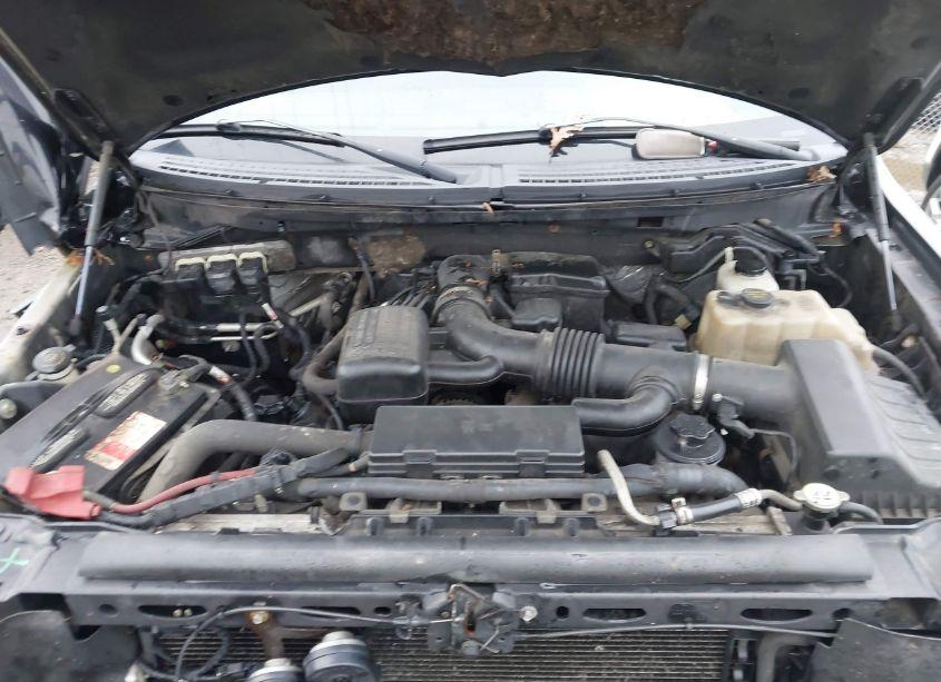 Photo 10 of 2010 Ford F-150 FX4/HARLEY-DAVIDSON/KING RANCH/LARIAT/PLATINUM/XL/XLT (VIN 1FTFW1EVXAFB91895)