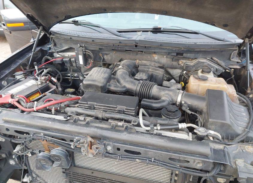 Photo 10 of 2010 Ford F-150 FX4/HARLEY-DAVIDSON/KING RANCH/LARIAT/PLATINUM/XL/XLT (VIN 1FTFW1EVXAFC11935)