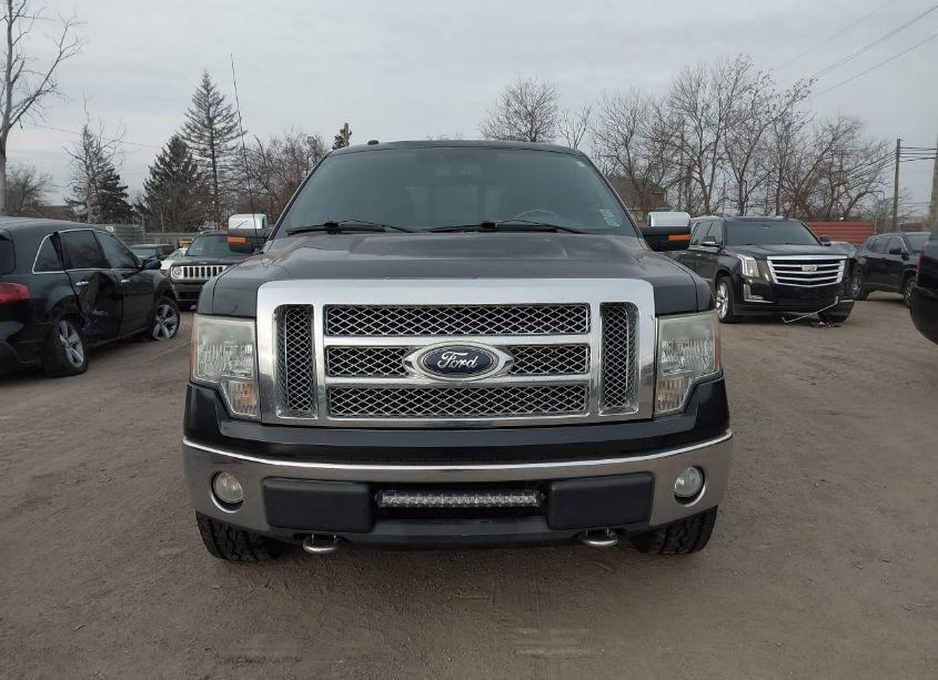 Photo 12 of 2010 Ford F-150 FX4/HARLEY-DAVIDSON/KING RANCH/LARIAT/PLATINUM/XL/XLT (VIN 1FTFW1EVXAFC11935)