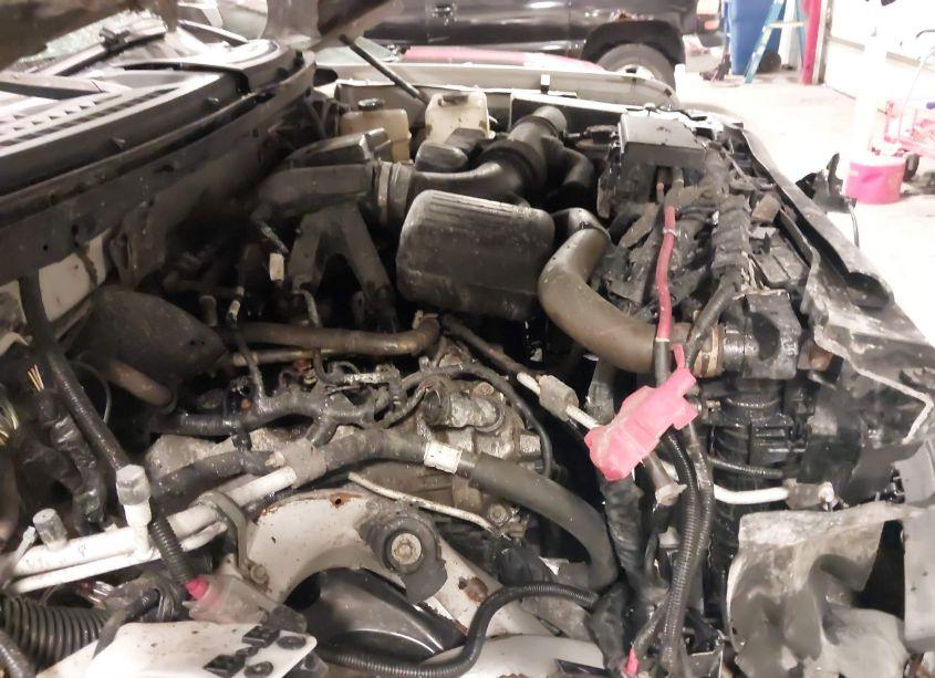 Photo 20 of 2010 Ford F-150 FX4/HARLEY-DAVIDSON/KING RANCH/LARIAT/PLATINUM/XL/XLT (VIN 1FTFW1EVXAFC24703)