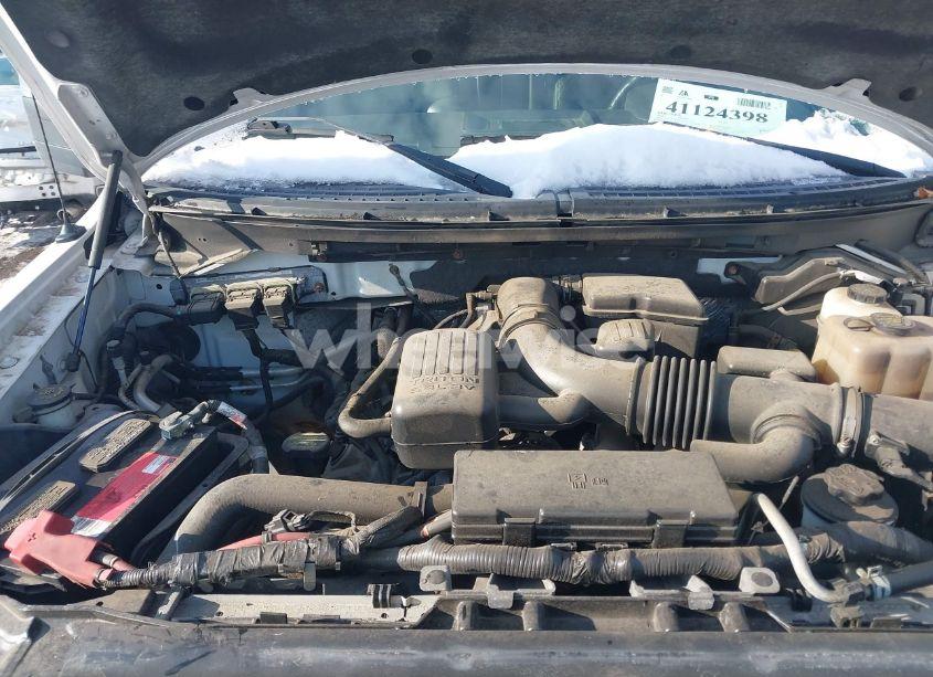 Photo 10 of 2010 Ford F-150 FX4/HARLEY-DAVIDSON/KING RANCH/LARIAT/PLATINUM/XL/XLT (VIN 1FTFW1EVXAFC33031)