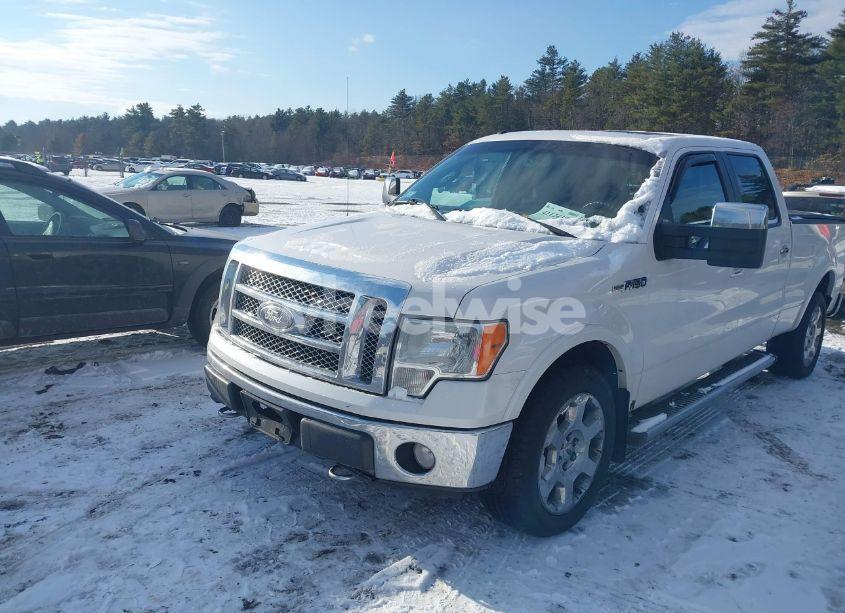 Photo 2 of 2010 Ford F-150 FX4/HARLEY-DAVIDSON/KING RANCH/LARIAT/PLATINUM/XL/XLT (VIN 1FTFW1EVXAFC33031)