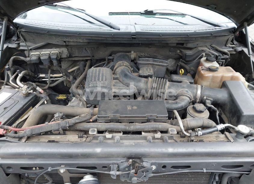 Photo 10 of 2010 Ford F-150 FX4/HARLEY-DAVIDSON/KING RANCH/LARIAT/PLATINUM/XL/XLT (VIN 1FTFW1EVXAFD57266)