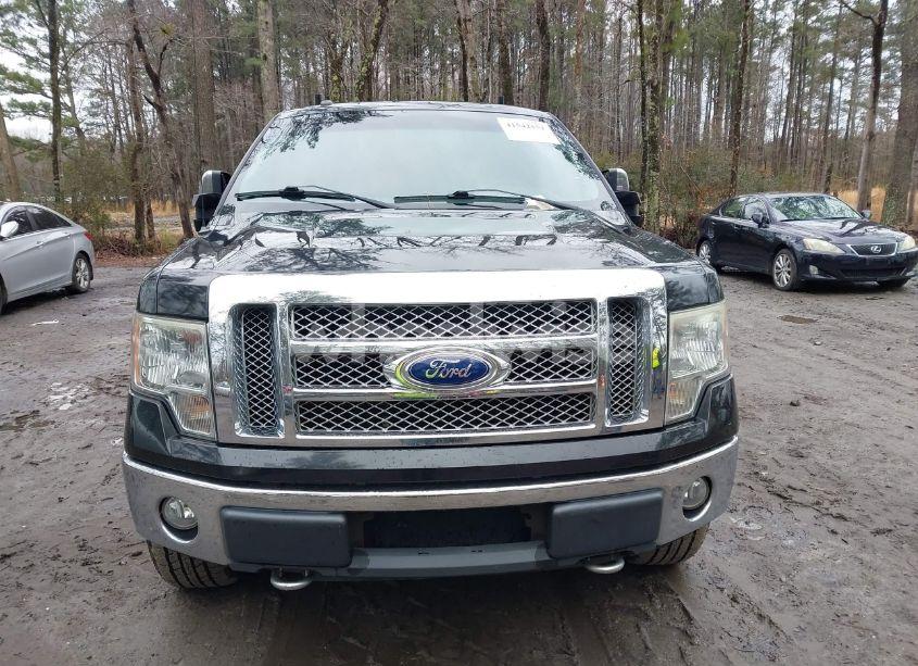 Photo 13 of 2010 Ford F-150 FX4/HARLEY-DAVIDSON/KING RANCH/LARIAT/PLATINUM/XL/XLT (VIN 1FTFW1EVXAFD57266)