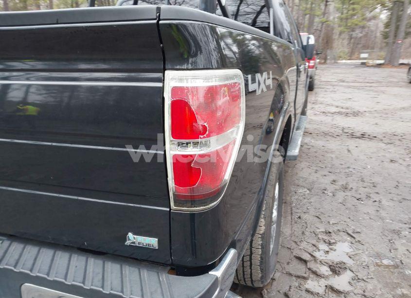 Photo 20 of 2010 Ford F-150 FX4/HARLEY-DAVIDSON/KING RANCH/LARIAT/PLATINUM/XL/XLT (VIN 1FTFW1EVXAFD57266)