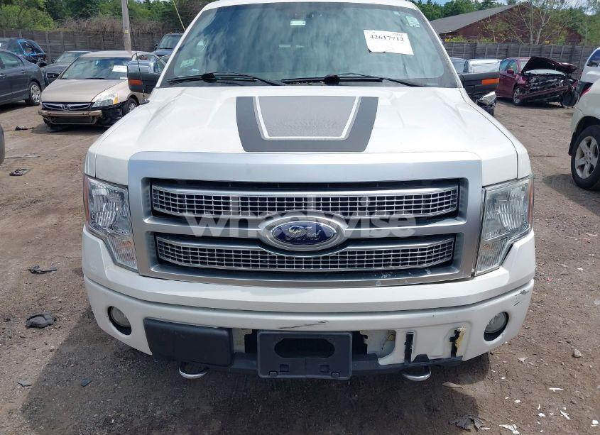 Photo 12 of 2010 Ford F-150 FX4/LARIAT/XL/XLT (VIN 1FTFW1EVXAFD58384)